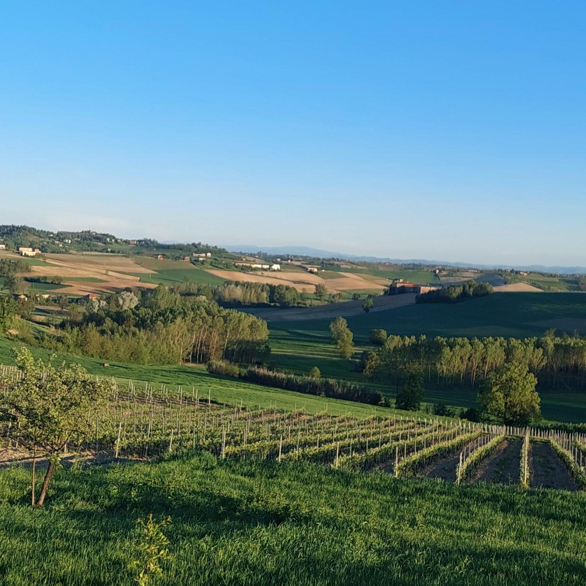 Casa Rovelli Bed and Breakfast Alfiano Natta Εξωτερικό φωτογραφία