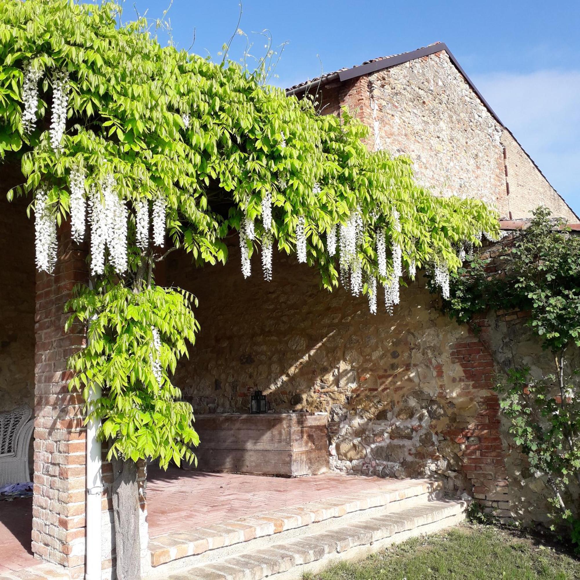 Casa Rovelli Bed and Breakfast Alfiano Natta Εξωτερικό φωτογραφία