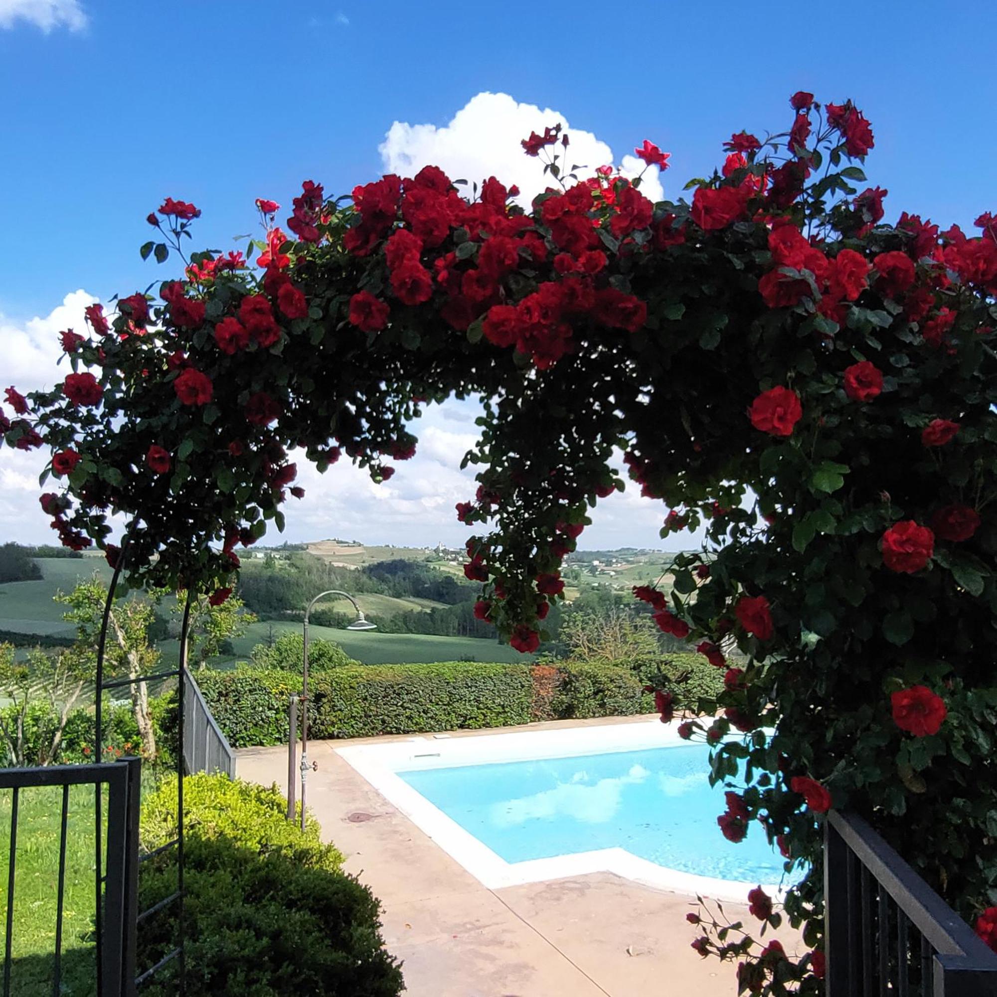 Casa Rovelli Bed and Breakfast Alfiano Natta Εξωτερικό φωτογραφία